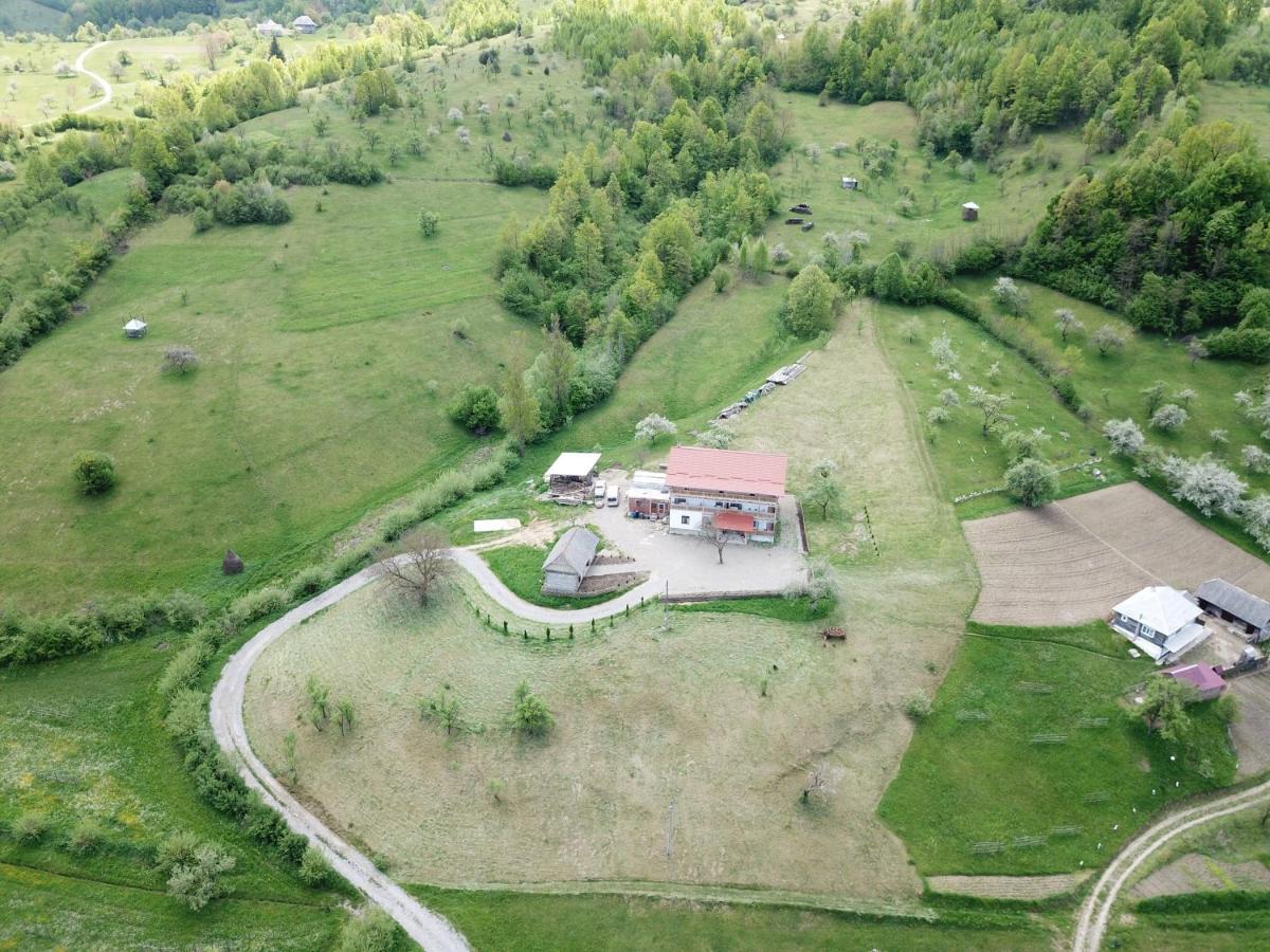 Pensiunea Plai Strabun Stramtura  Exterior photo